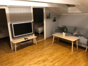 Birkebeiner Apartment